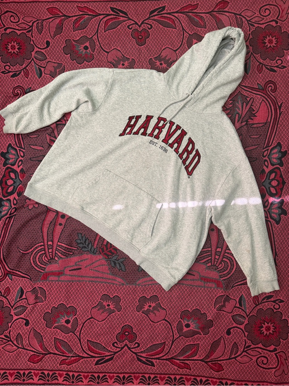H&M Light Gray Hoodie with Crimson Lettering unisex